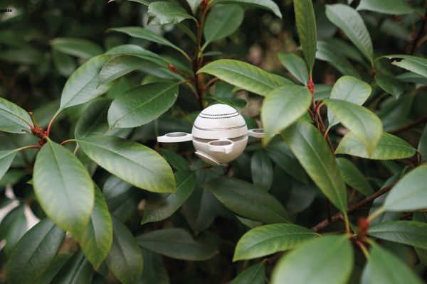 Presentation-LinZihan_Pagina_4